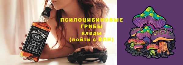 твердый Алексеевка