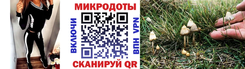 Псилоцибиновые грибы прущие грибы  Ялта 